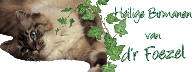 Banner van d´r Foezel